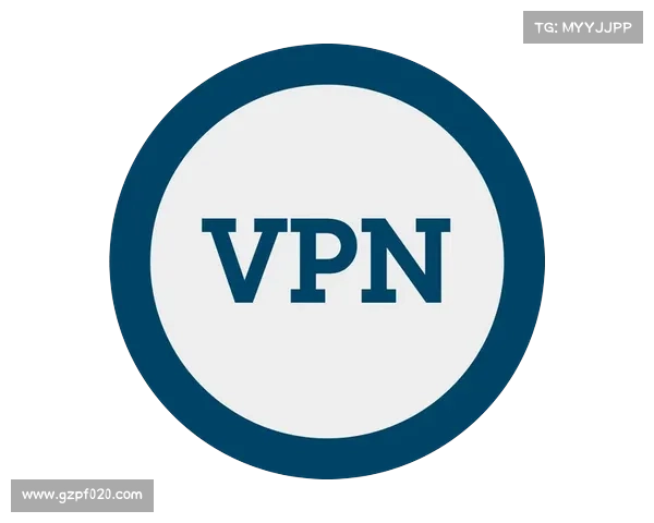 通过使用VPN上网来避免政府监控 通过使用VPN上网来避免政府监控