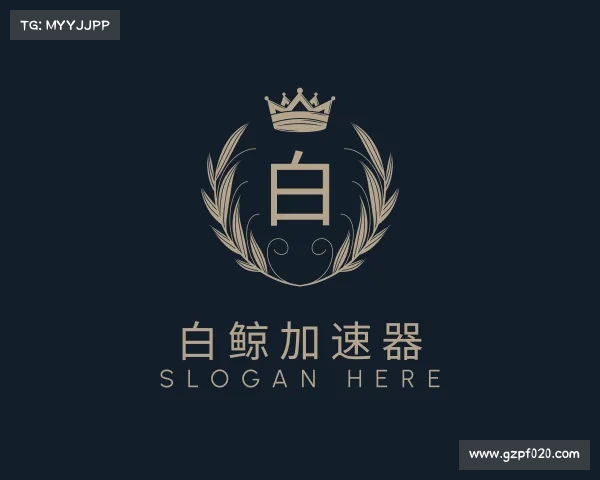 解读白鲸加速器